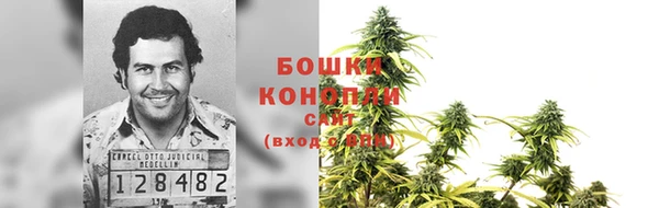 прущие крисы Балабаново