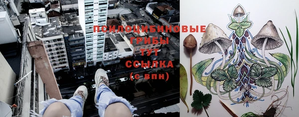 СК Балахна
