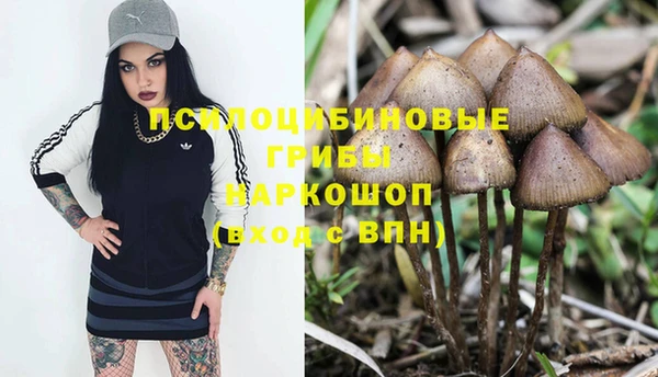 СК Балахна