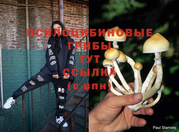 прущие крисы Балабаново