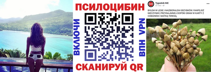 Галлюциногенные грибы GOLDEN TEACHER  даркнет как зайти  Дыгулыбгей  где купить  